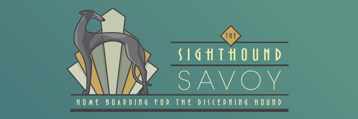 SighthoundSavoy.jpg